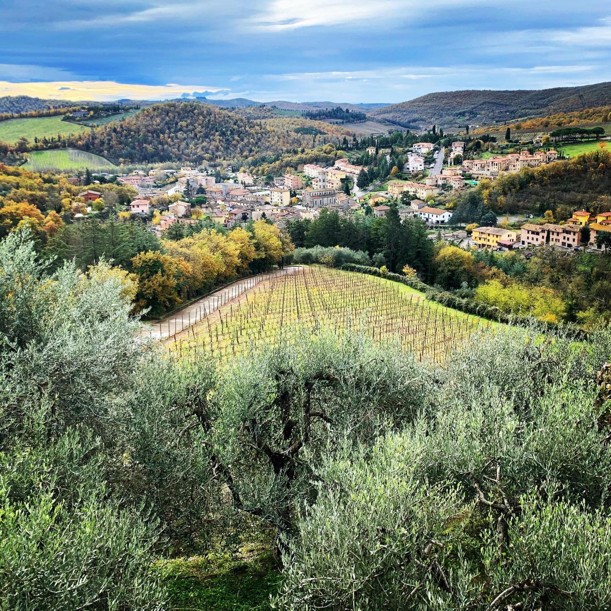 Capannelle Wine Resort Gaiole in Chianti Dış mekan fotoğraf