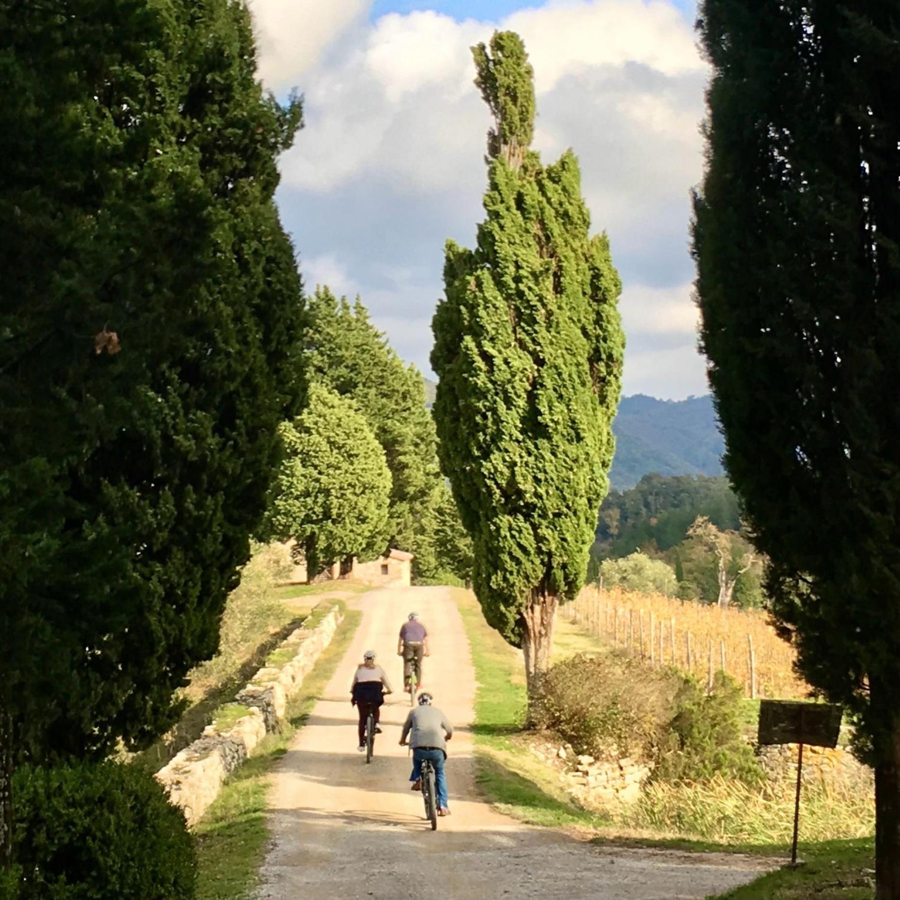 Capannelle Wine Resort Gaiole in Chianti Dış mekan fotoğraf