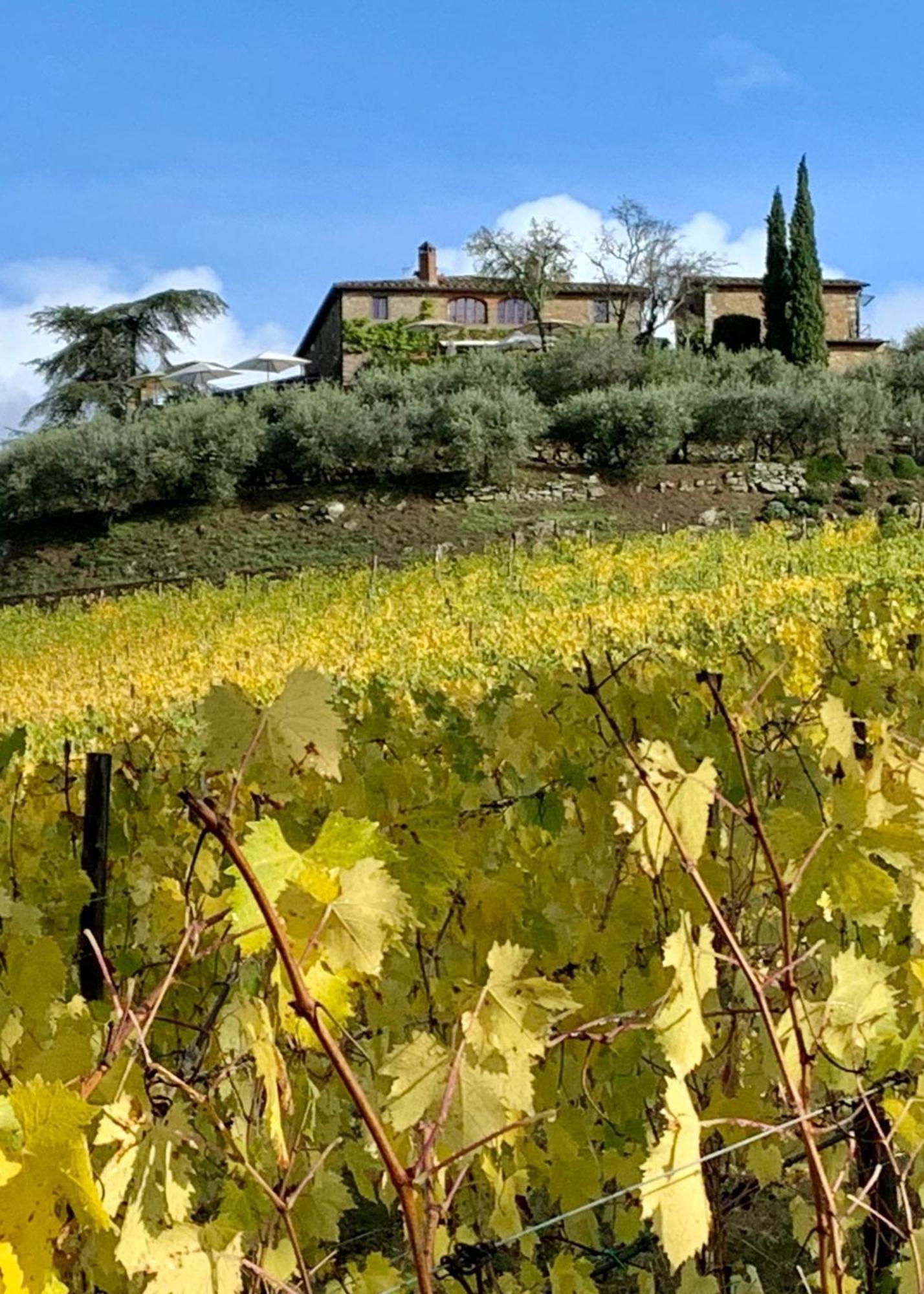 Capannelle Wine Resort Gaiole in Chianti Dış mekan fotoğraf