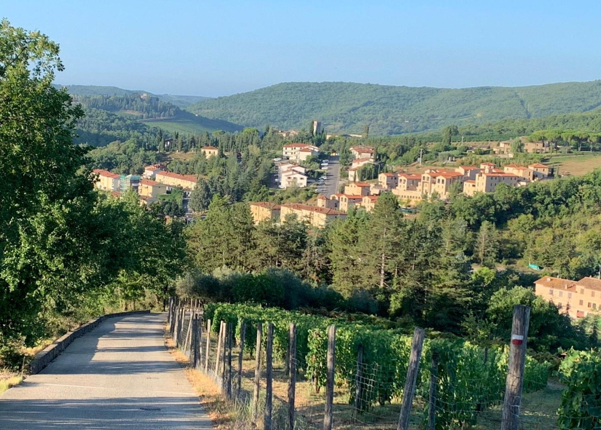 Capannelle Wine Resort Gaiole in Chianti Dış mekan fotoğraf