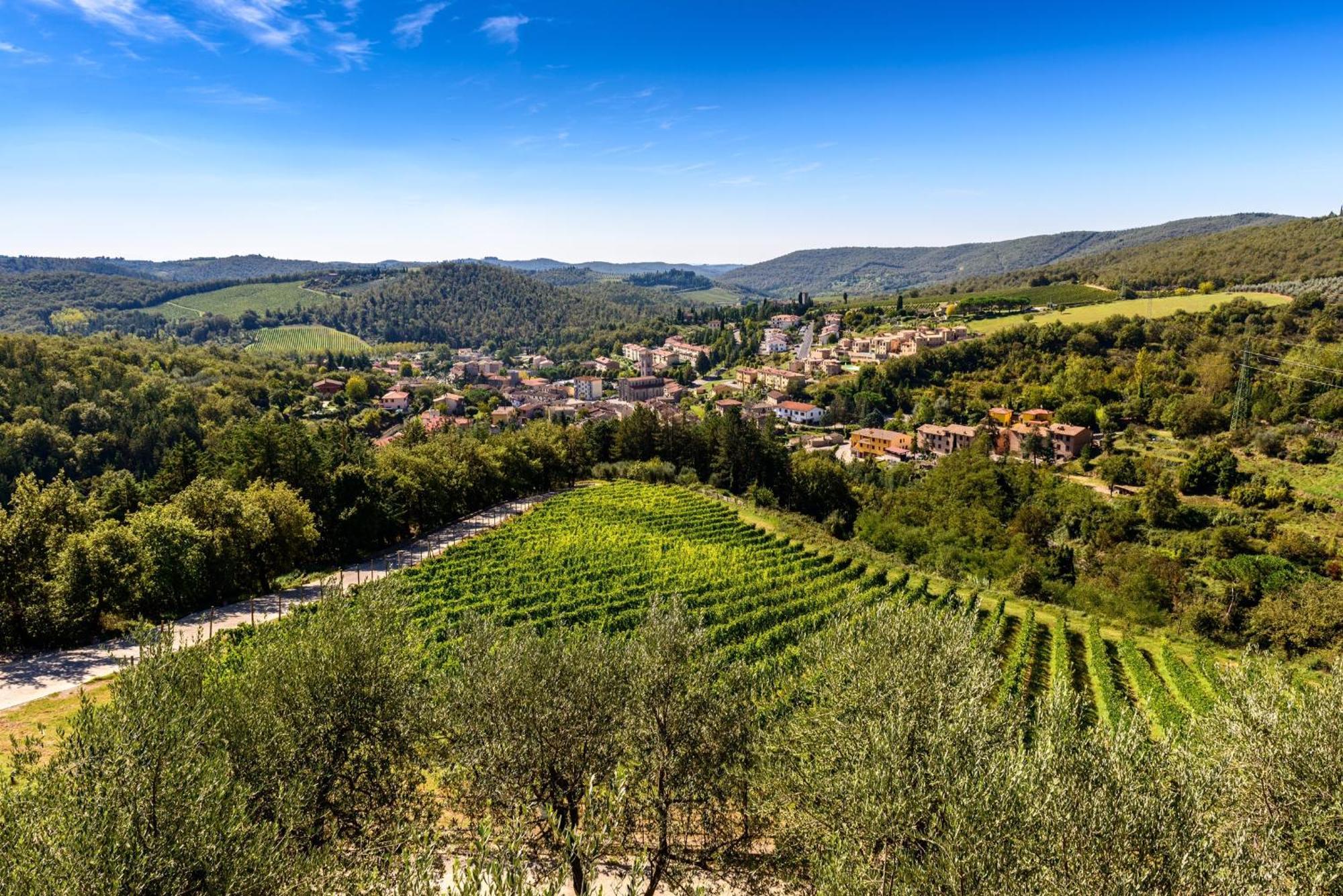 Capannelle Wine Resort Gaiole in Chianti Dış mekan fotoğraf