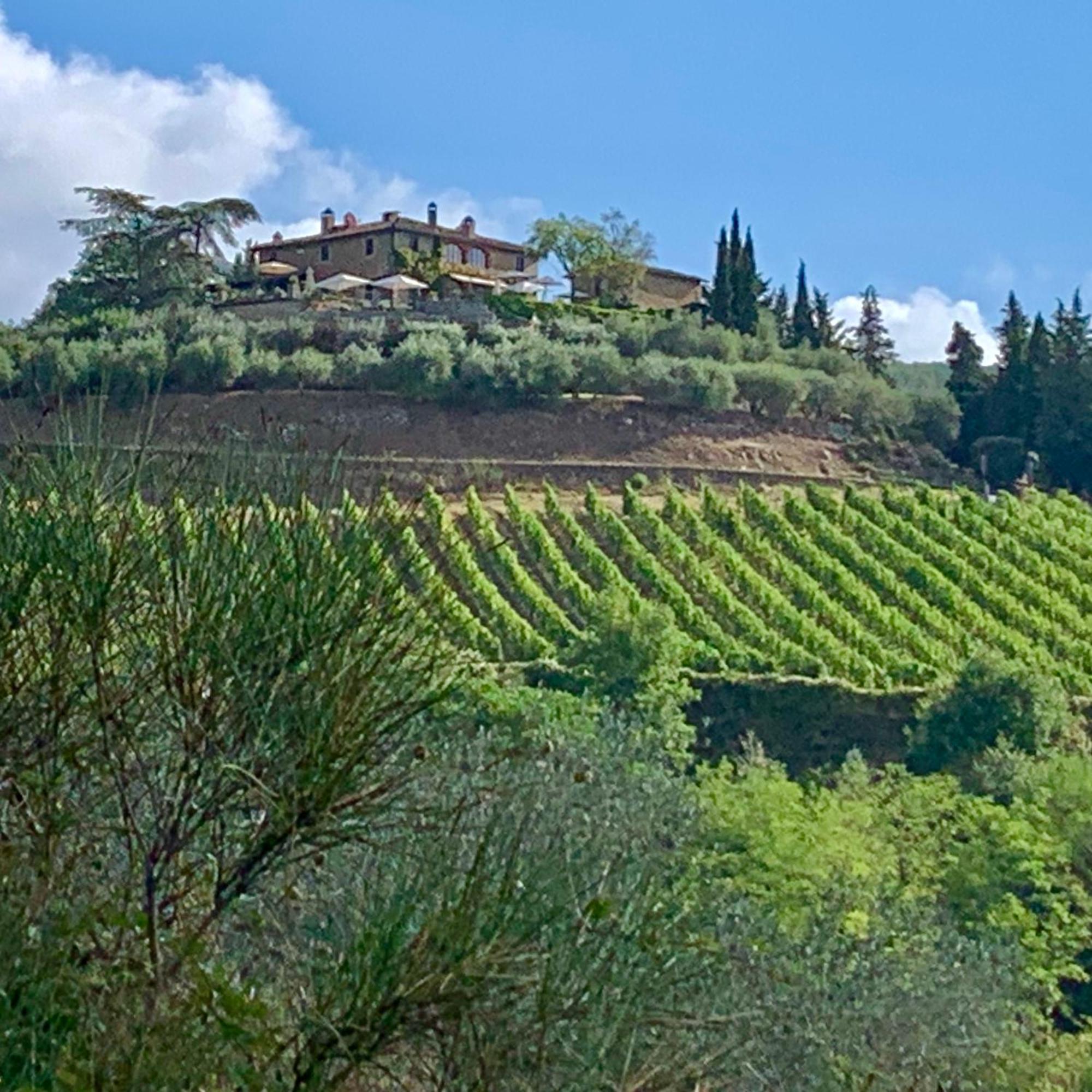 Capannelle Wine Resort Gaiole in Chianti Dış mekan fotoğraf